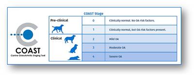 Proposed Canadian Consensus Guidelines on Osteoarthritis Treatment Based on OA-COAST Stages 1–4